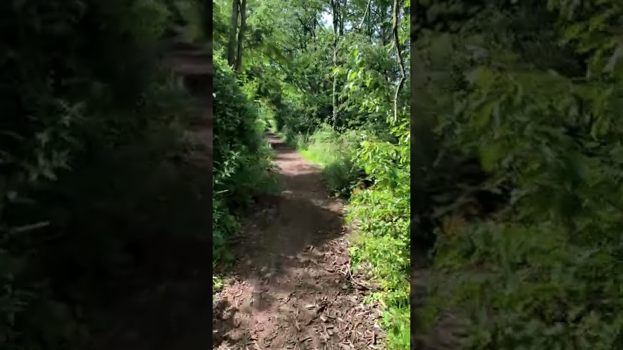 youtube preview